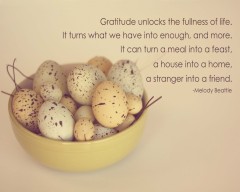 gratitude-quotes